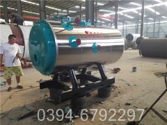 15噸低氮燃氣鍋爐