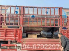 1mw低氮真空鍋爐