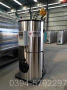 6噸生物質導熱油爐