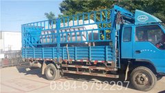 15噸冷凝低氮熱水鍋爐