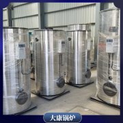 蒸汽鍋爐燃煤20噸口碑最好的