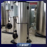 8噸燃?xì)獾偷仩t一諾容器