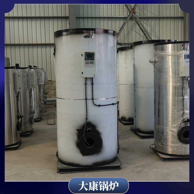 生物質真空鍋爐