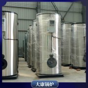 湖北20萬大卡真空熱水鍋爐