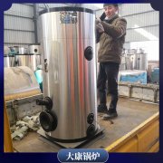 海南10t真空鍋爐