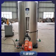 貴州0.6mw導(dǎo)油爐