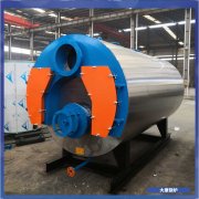 兩噸燃氣蒸汽鍋爐