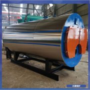 吉林0.5mw冷凝蒸汽鍋爐