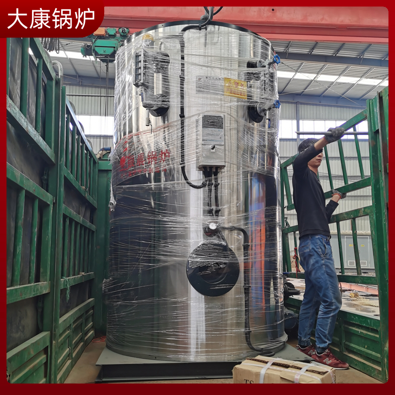 生物質10噸鍋爐