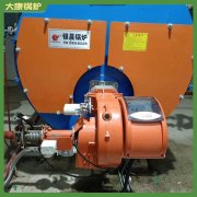 鍋爐冷凝WNS1出口三十余個國家的