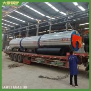 燃油氣蒸汽鍋爐廠家12噸同行都在用