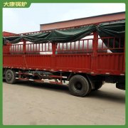 天津5噸燃?xì)鉄崴仩t