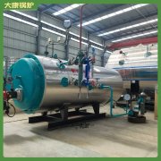 海南1mw蒸汽鍋爐