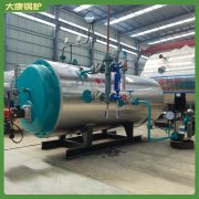 六噸燃煤蒸汽鍋爐20噸廠家現貨銷售