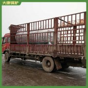 甘肅CLHS0.49-85/60-QY熱水鍋爐