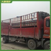 電燒蒸汽鍋爐20噸環保節能,應用廣泛