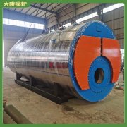 天津0.1mw冷凝導油爐