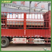 河南二十噸真空熱水鍋爐