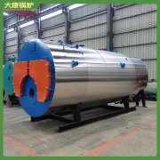 燃煤鍋爐哪里好WNS型廠家地址