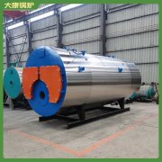 青海7000kw天然氣熱水鍋爐