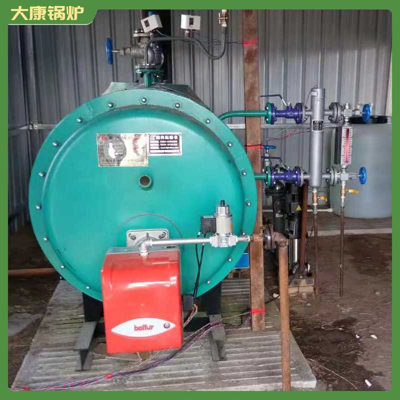 生物質鍋爐 標準