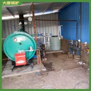 燃油熱水鍋爐價格20噸專業供應商價格合理