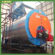 蒸汽鍋爐4tWNS10屠宰設備配套