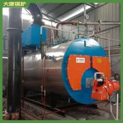 廣西YYQW-240鍋爐