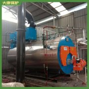 湖南10.5mw冷凝導熱油爐